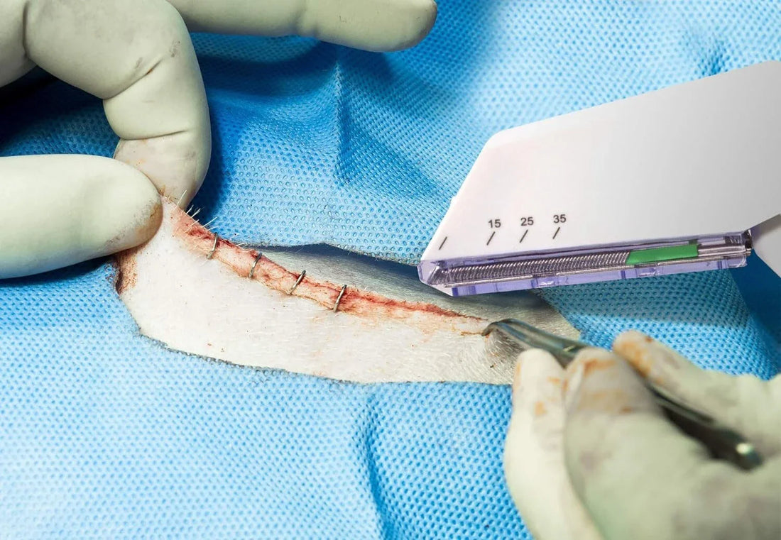 Benefits of Using a Sterile Disposable Skin Stapler in Emergency Veterinary Care