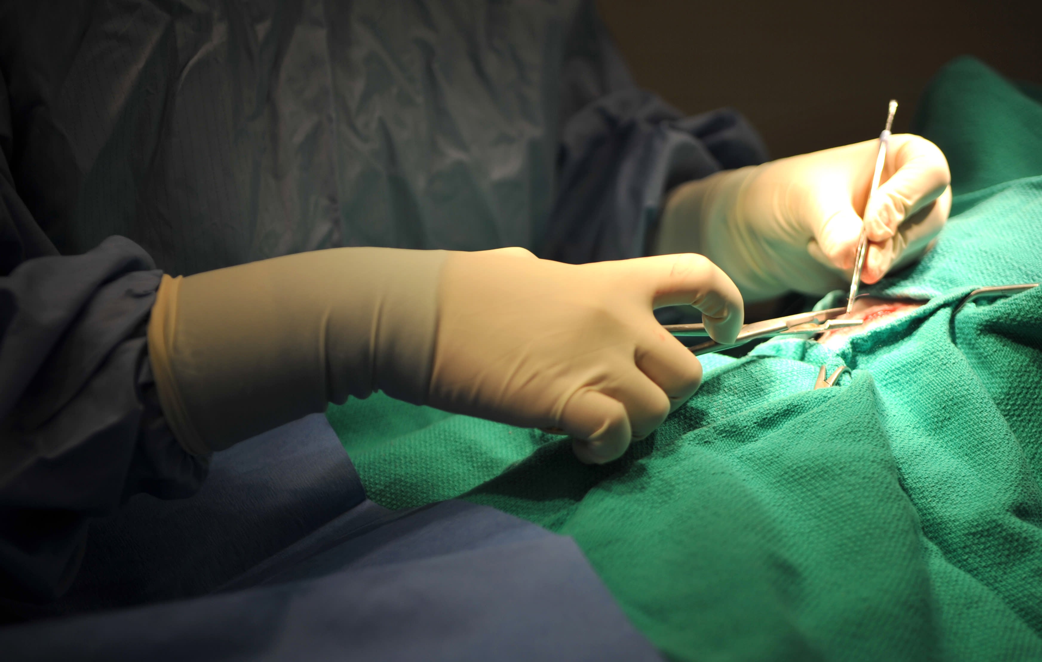 How Surgical Suture Needle Sizes Affect Wound Closure in Pets