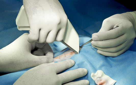 How Do Skin Staples Work in Animal Surgery From Application to Healing