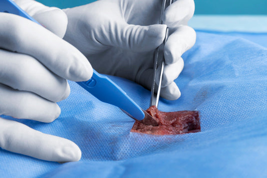 Role of Absorbable Sutures in Veterinary Soft Tissue Surgery Healing