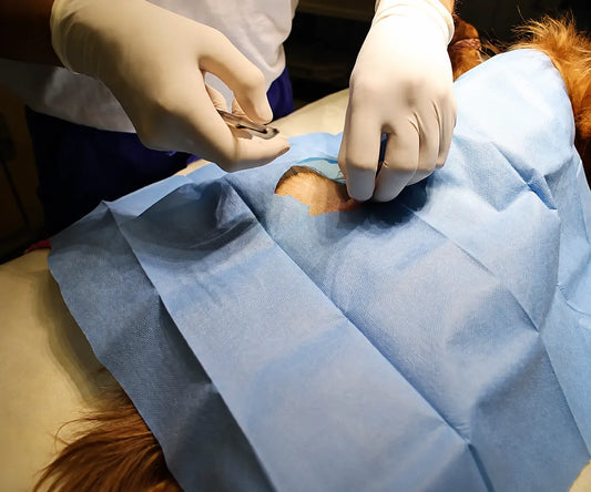 A Practical Guide to Subcuticular Suture Technique for Veterinary Skin Closure