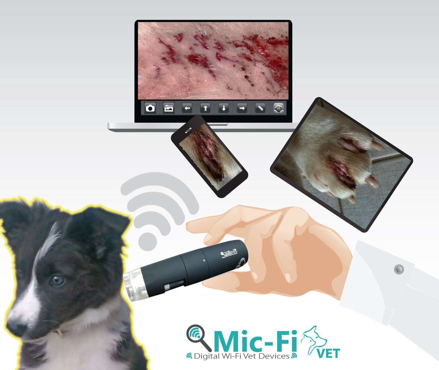 Wi-Fi – USB Digital DERMATOSCOPE