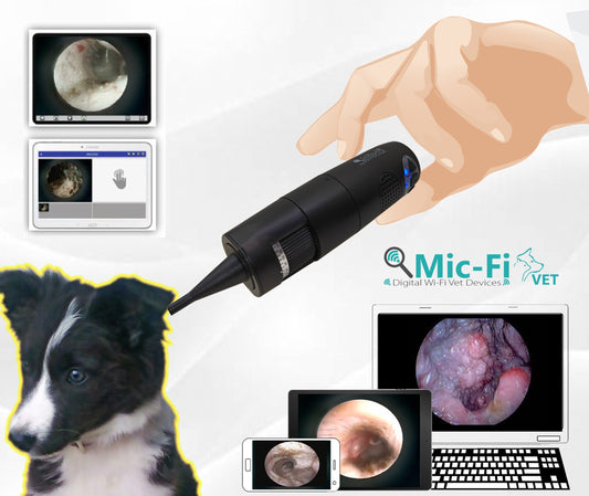 Wi-Fi – USB Digital OTOSCOPE