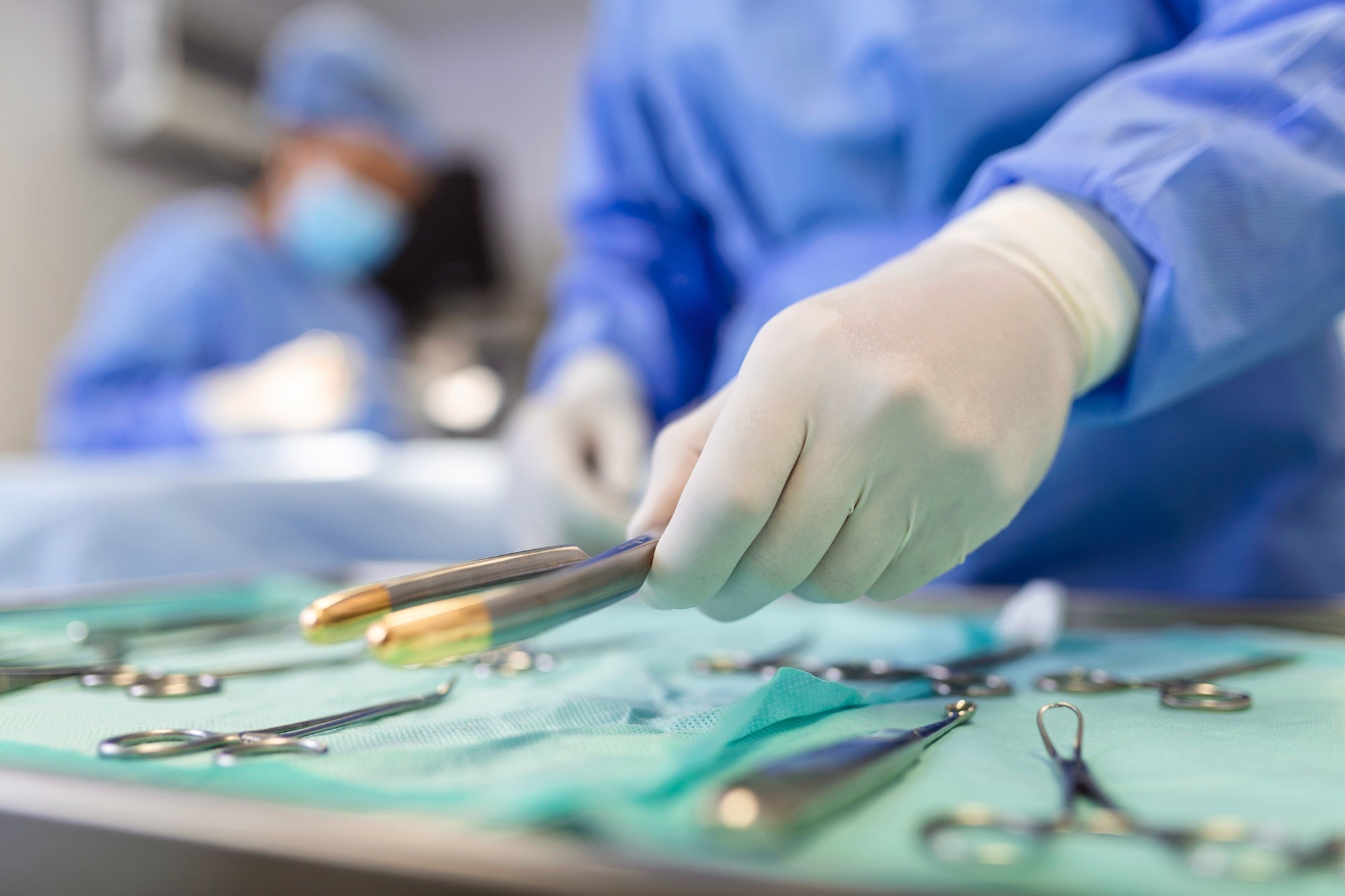 Veterinary surgeon handling surgical instruments